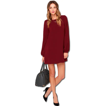 Sexy Long Sleeve Dress - Loose Fit Fashion Mini Dress